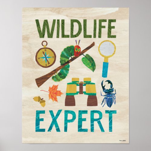 Hungry Caterpillar  Wildlife Expert Poster