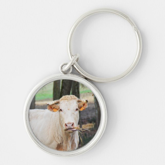 Hungry cow keychain (Front)