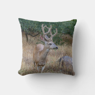 Hungry Deer Pillow
