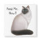 Hungry Himalayan Cat Magnet