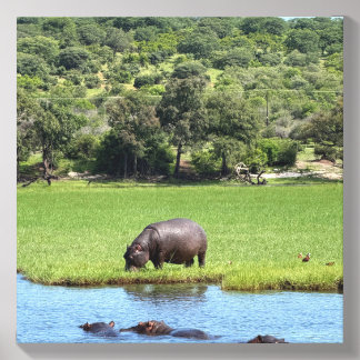 Hungry Hippo Canvas Photo Tile