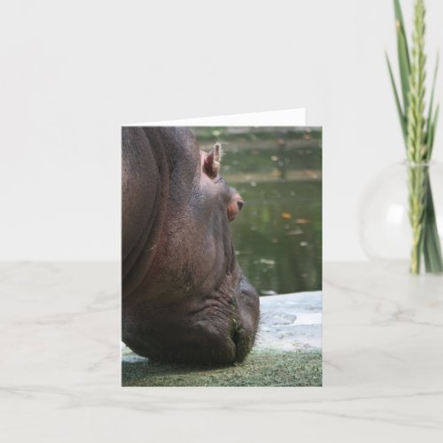 Hungry Hippo Notecard