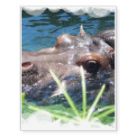 Hungry Hippo Temporary Tattoos