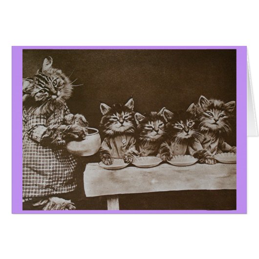 hungry kitties (Front Horizontal)