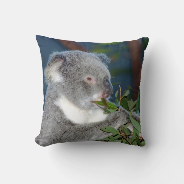 Hungry Koala Throw Pillow (Front)