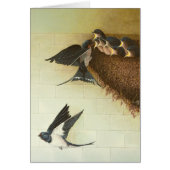 Hungry Mouths 2011 (Front)