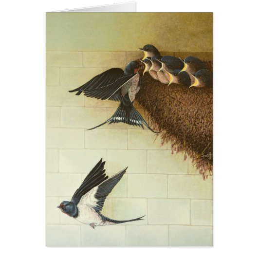 Hungry Mouths 2011 (Front)