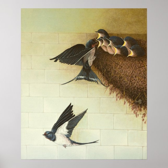 Hungry Mouths 2011 Poster (Front)