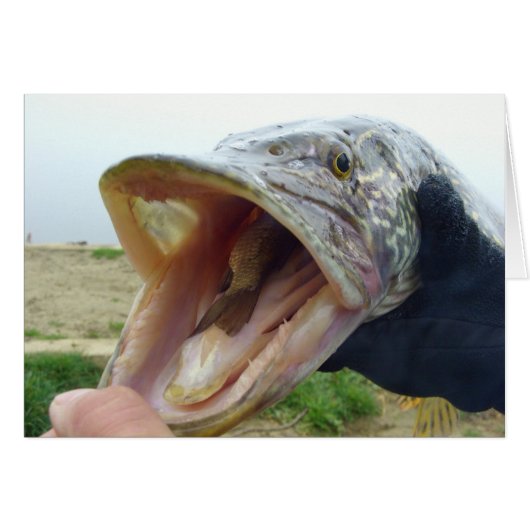 Hungry Pike Cards (Front Horizontal)