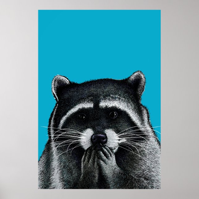 Hungry Raccoon on blue Poster (Front)