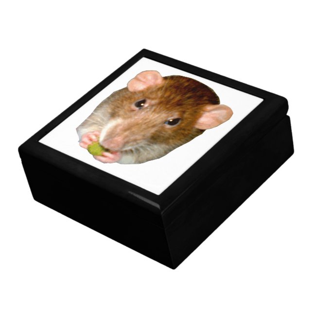 Hungry Rat Gift Box (Side)