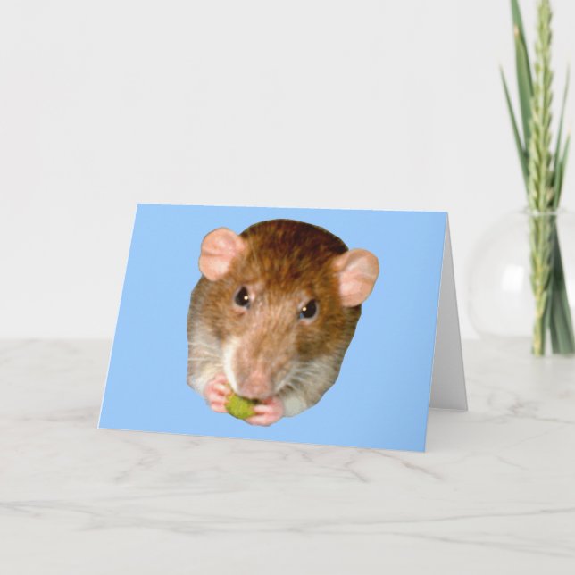Hungry Rat Greeting Card (Front)
