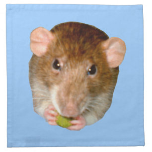 Hungry Rat Napkin