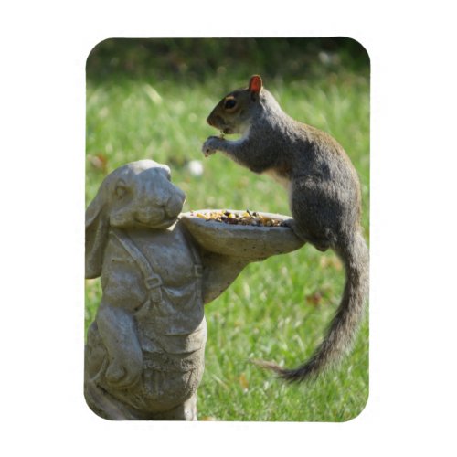 Hungry Squirrel and Bunny Statue Magnet