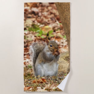 Hungry Squirrel Beach Towel