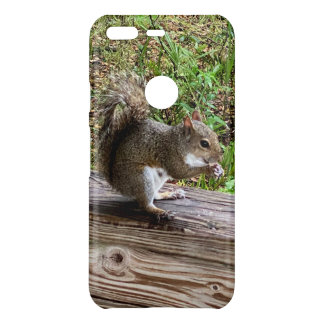 Hungry Squirrel Google Phone Cases