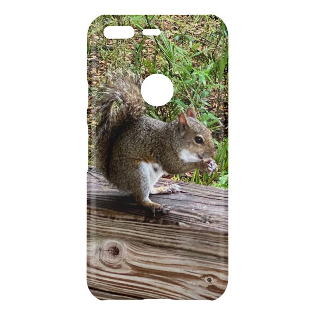Hungry Squirrel Google Phone Cases (Back)