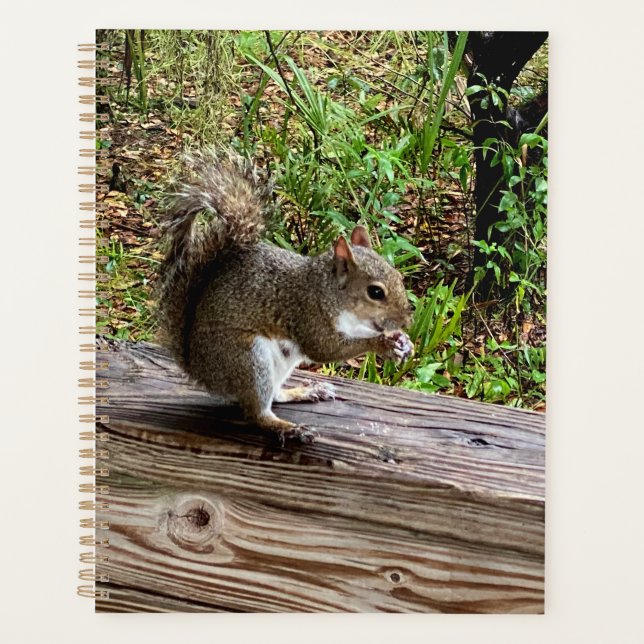 Hungry Squirrel  Planner (Front)
