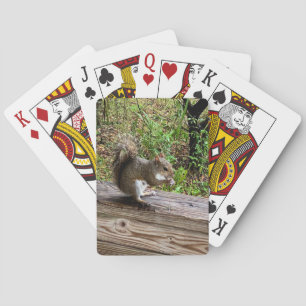 Hungry Squirrel Poker Cards