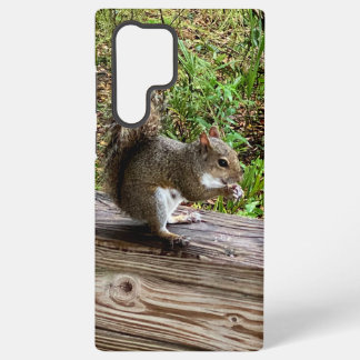 Hungry Squirrel Samsung Phone Cases