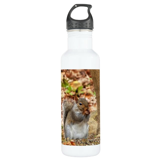 Hungry Squirrel Stainless Steel Water Bottle (Front)