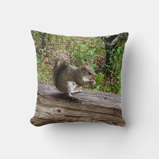 Hungry Squirrel
