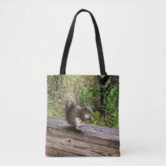 Hungry Squirrel