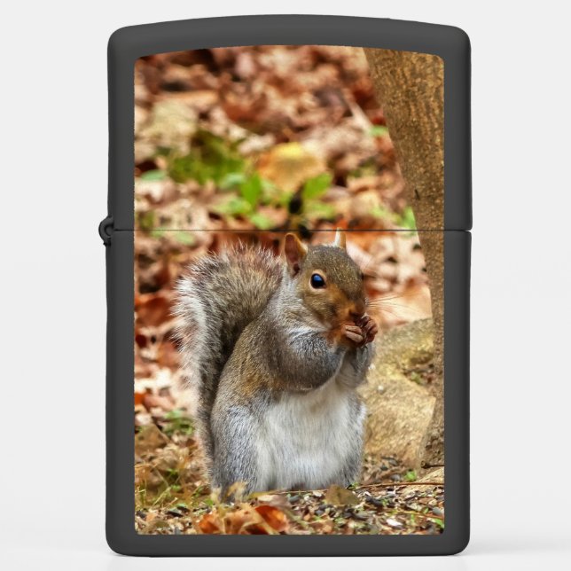 Hungry Squirrel Zippo Lighter (Front)