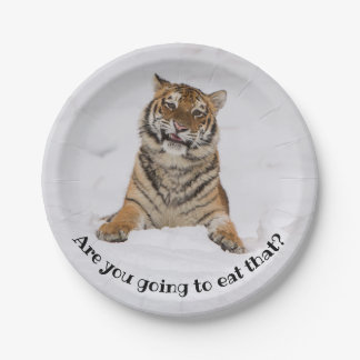 Hungry Tiger Are you going to eat that? Paper Plates