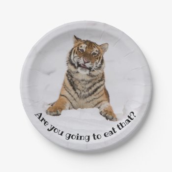 Hungry Tiger Are You Going To Eat That? Paper Plates by CarsonPhotography at Zazzle