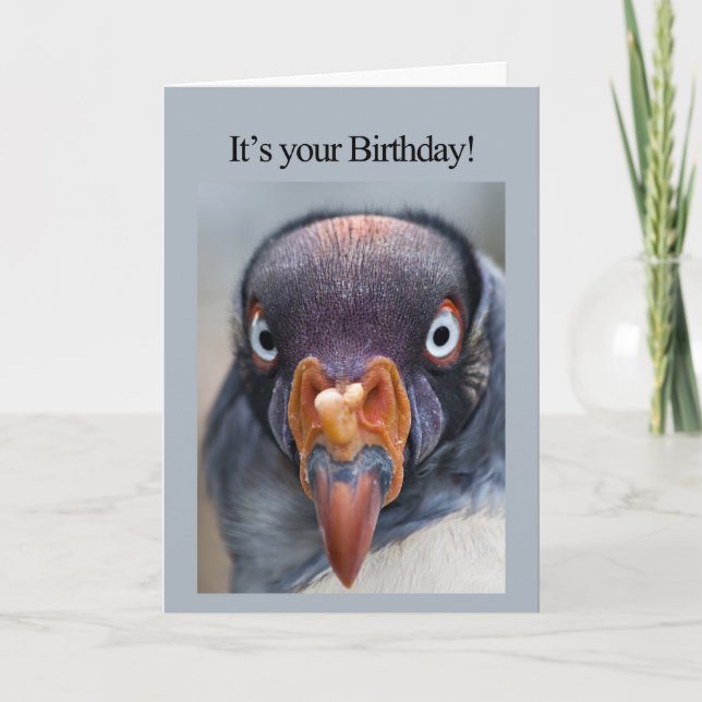 Hungry Vulture birthday card (Front)