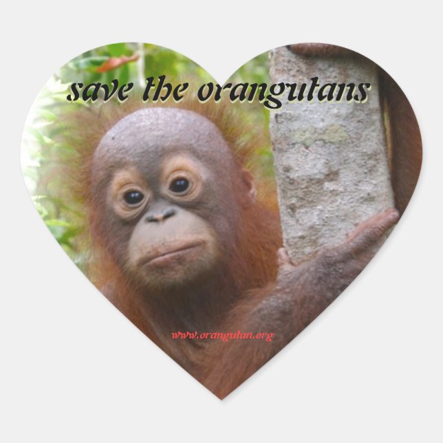 Hunt, a new orangutan orphan heart sticker (Front)