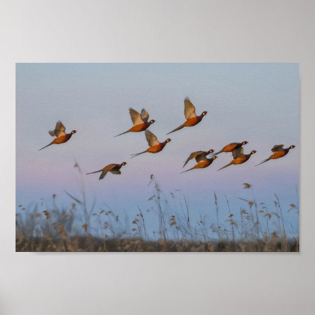 Hunt begin season bounty hunter poster (Front)