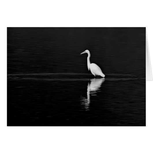 Hunter (Front Horizontal)