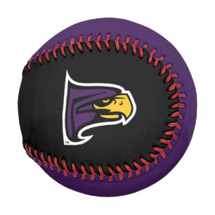 Hunter College Hawk Profile Mascot Baseball