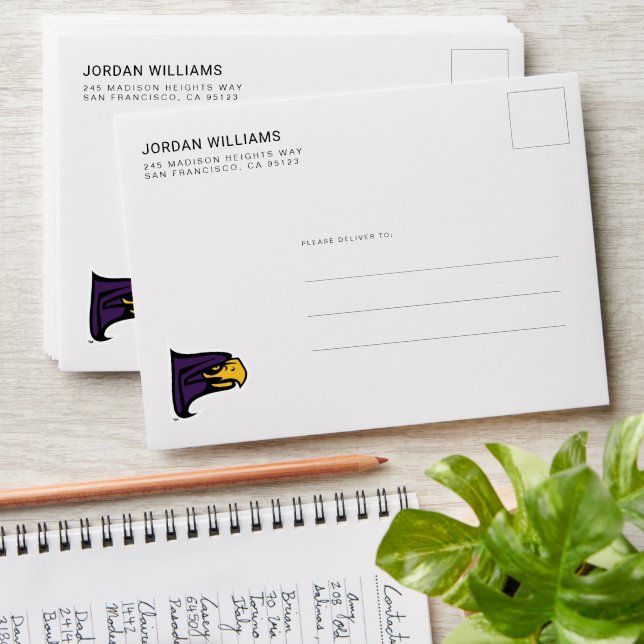 Hunter College Hawk Profile Mascot Envelope (Stacked)