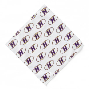 Hunter College Hawks Athletic Logo Bandana