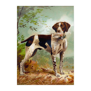 Hunter dog with bird in mouth acrylic print