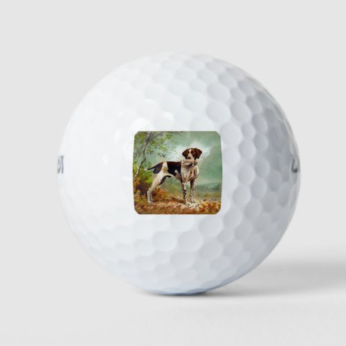 Hunter dog with bird in mouth golf balls