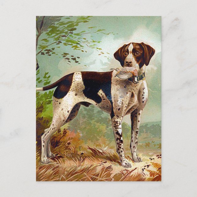 Hunter dog with bird in mouth holiday postcard (Front)