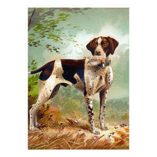 Hunter dog with bird in mouth photo print