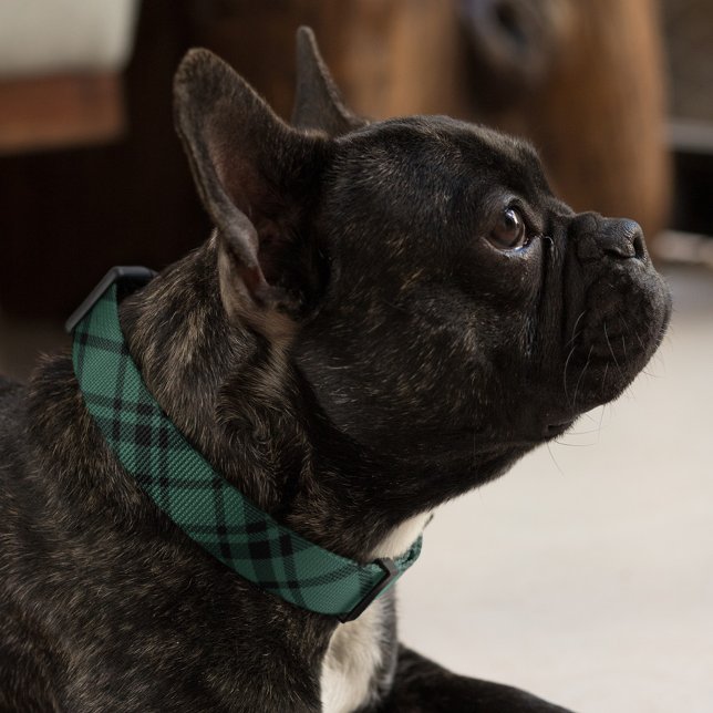 Hunter Green Scottish Tartan Plaid Dog Pet Collar (Creator Uploaded)