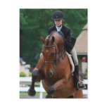 Hunter Horse Show Postcards