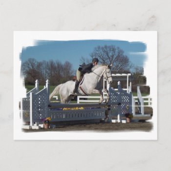 Hunter Jumper Postcard by HorseStall at Zazzle