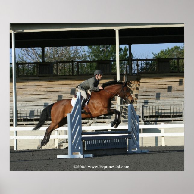 Hunter Jumper Poster 2 (Front)