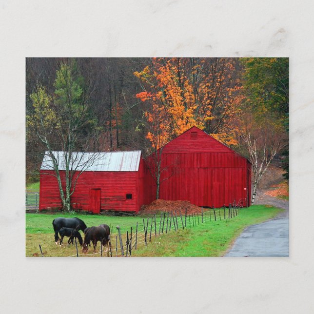 Hunter Mountain Postcard (Front)