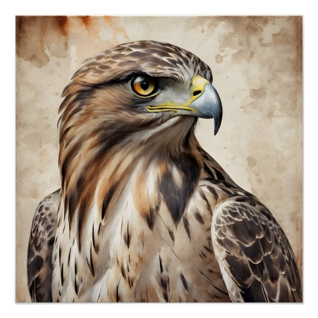 Hunter the Hawk Portrait Art Poster (Front)