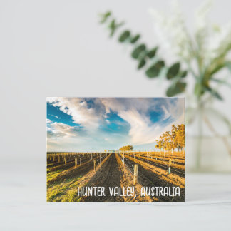 Hunter Valley, Australia Postcard