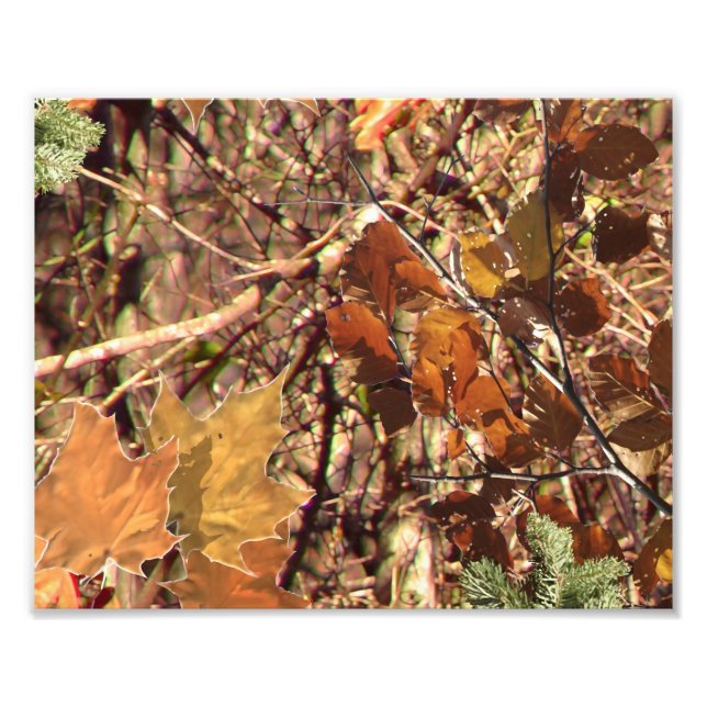 Hunter's Camo Camouflage Painting Customize This! Photo Print (Front)