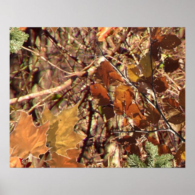 Hunter's Camo Camouflage Painting Customize This! Poster (Front)
